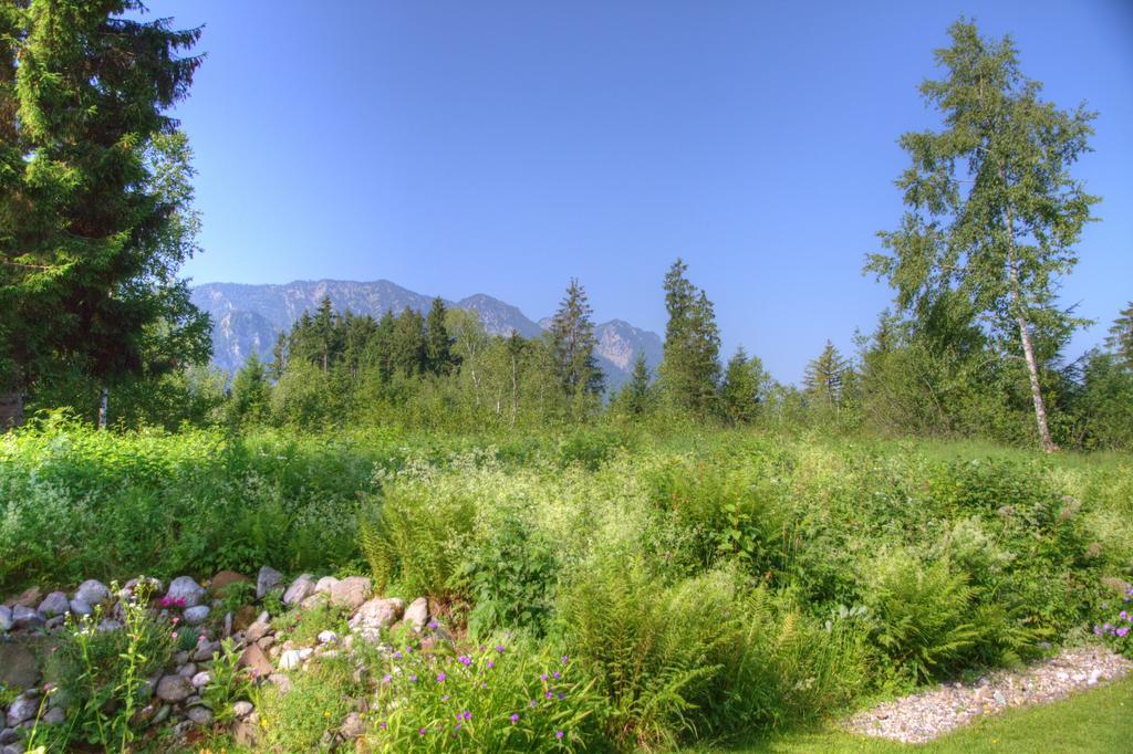 Ferienwohnung Haus Rieder Inzell Bagian luar foto