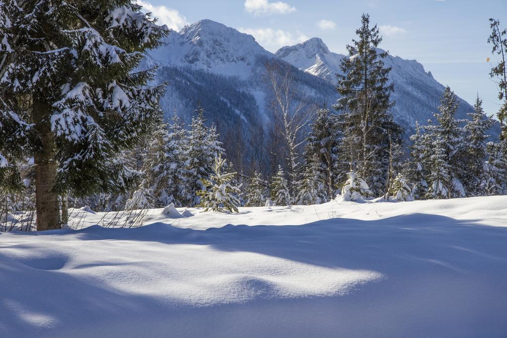 Ferienwohnung Haus Rieder Inzell Bagian luar foto